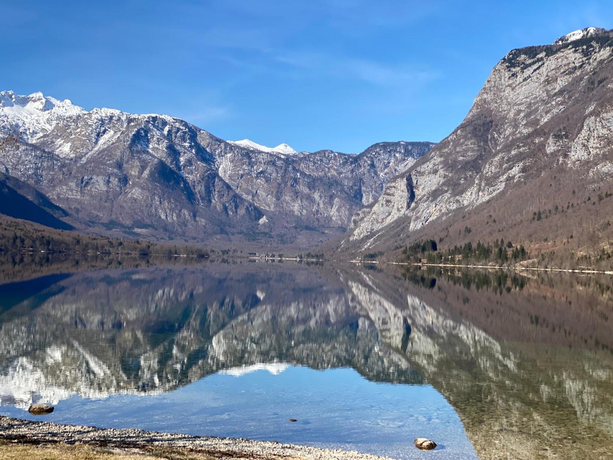 Mountain View In Triglav National Park Apartment Bohinj Exterior foto